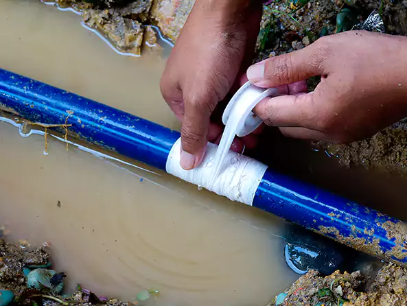  Why Choose The Bethlehem Plumber for Leak Detection in Bethlehem, PA?]